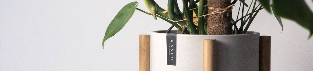 Kanso Designs