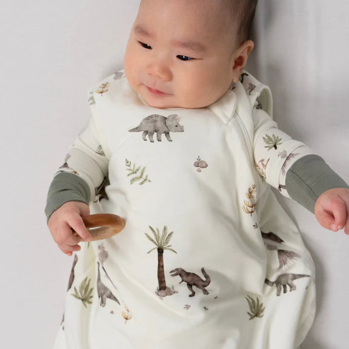 Bamboo Sleep Sack | Dinoland | 1.0 TOG