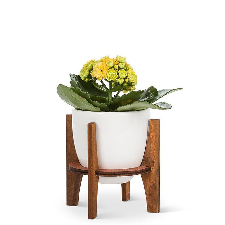 Medium Pot with Wooden Stand