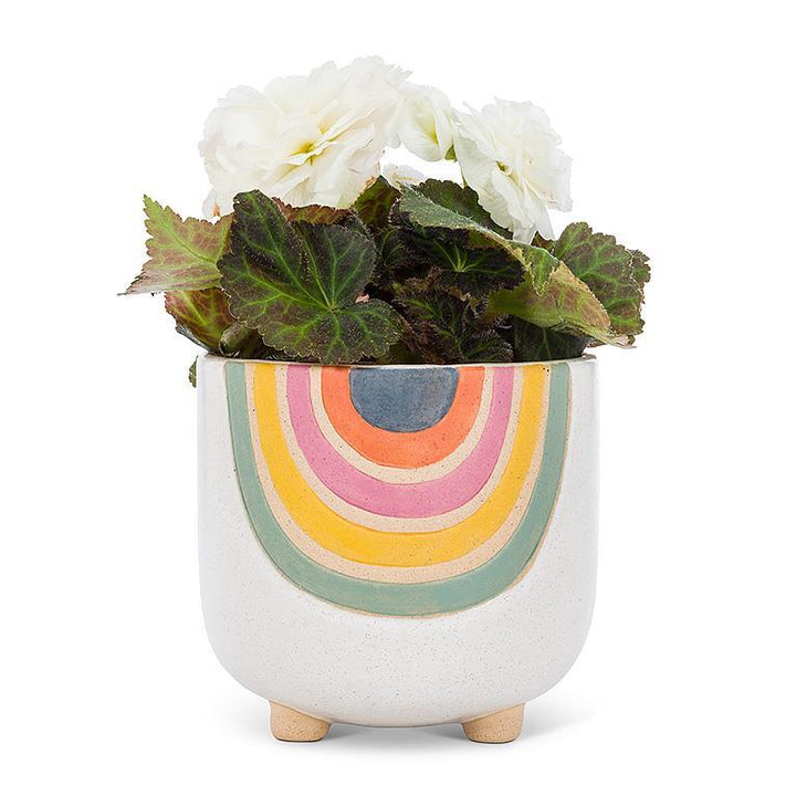 Large Rainbow Planter with Legs