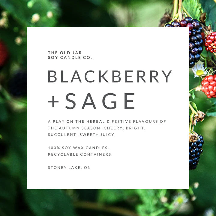 OLD JAR CANDLE CO | SOY CANDLE | BLACKBERRY + SAGE