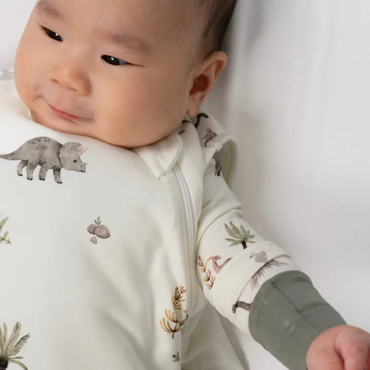 Bamboo Sleep Sack | Dinoland | 1.0 TOG