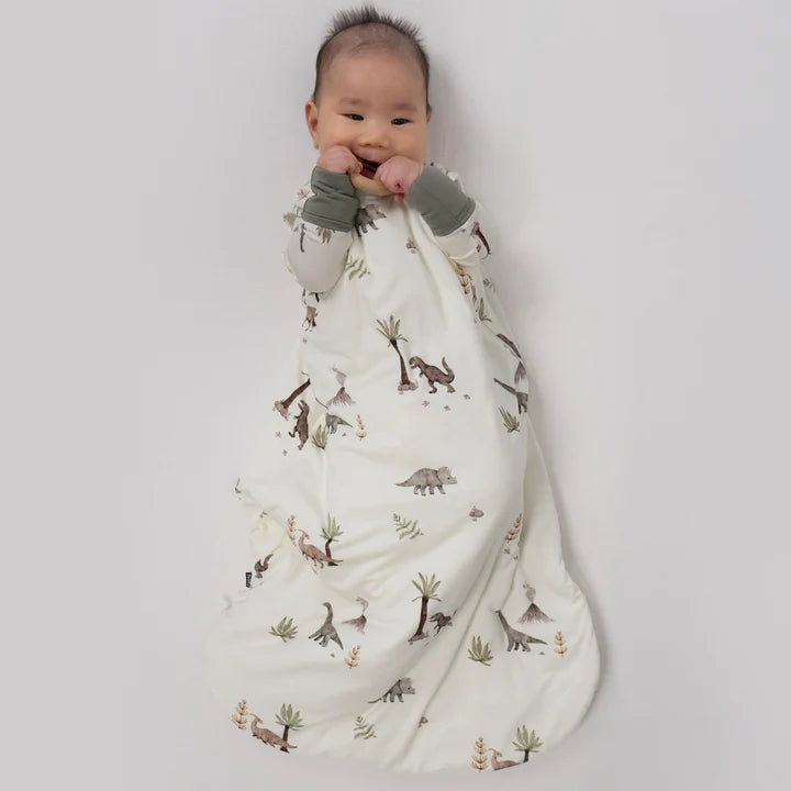 Bamboo Sleep Sack | Dinoland | 1.0 TOG