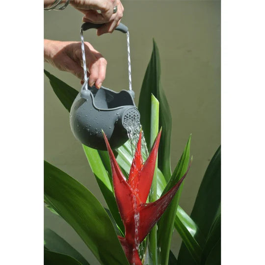 Scrunch Watering Can - Cool Grey