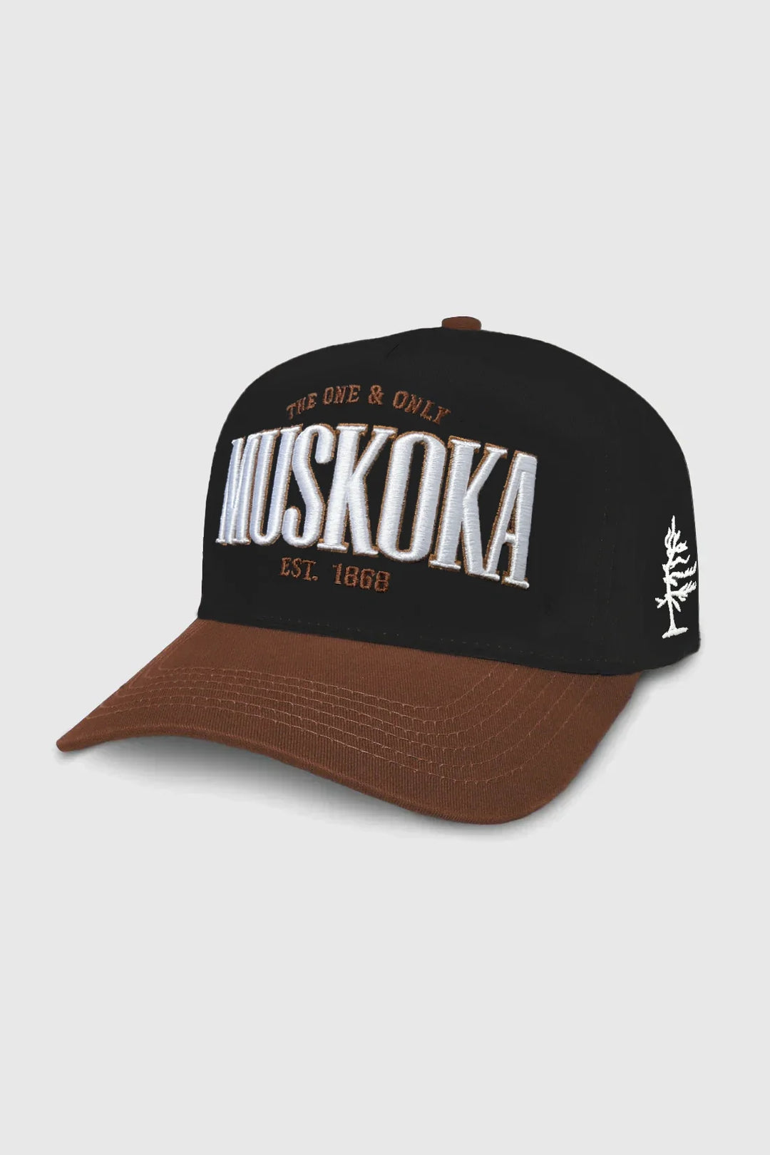 Muskoka Snapback | Black/Brown