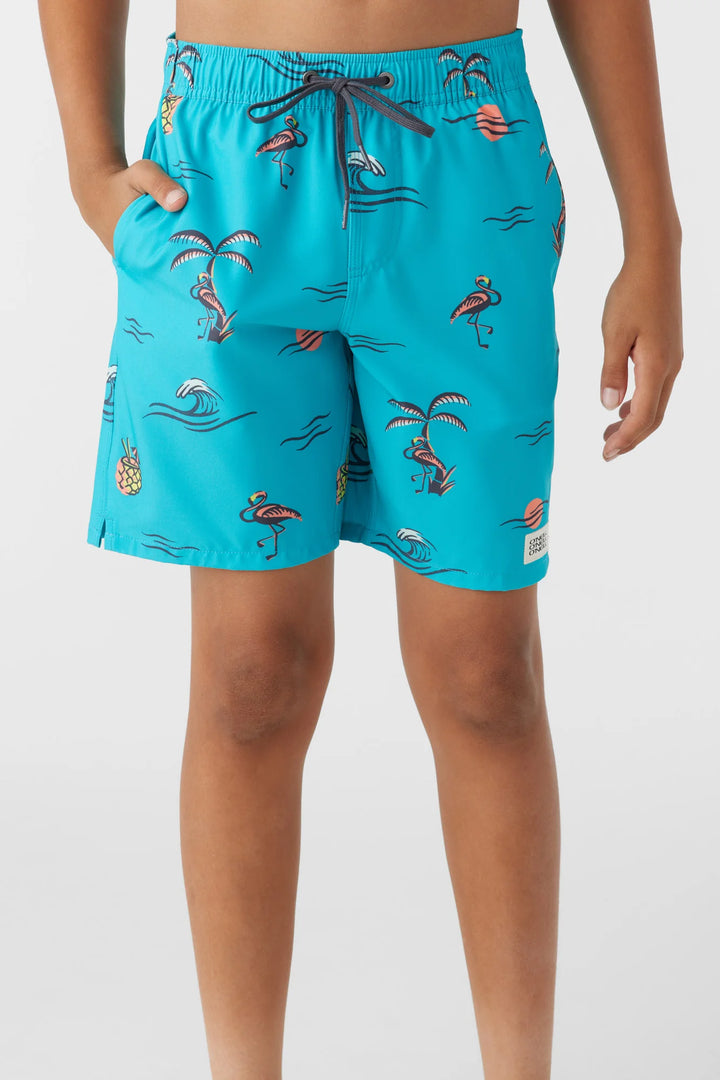 O'NEILL KIDS | Hermosa 16" Volley Short | Peacock Blue