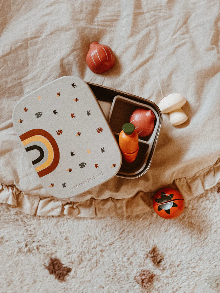 Stainless Steel Lunchbox with Removable Compartments | Rainbow