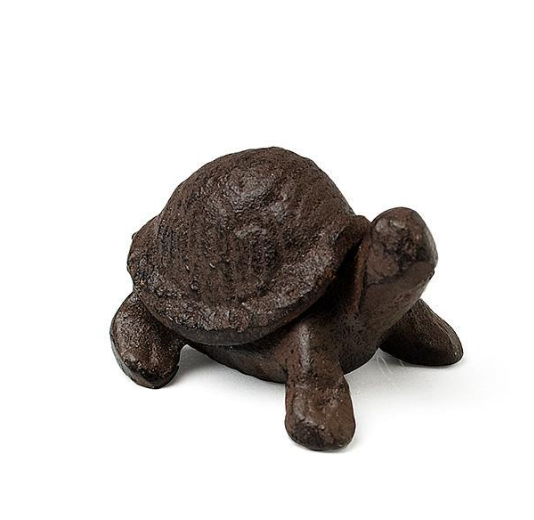ABBOTT | MINI TURTLE