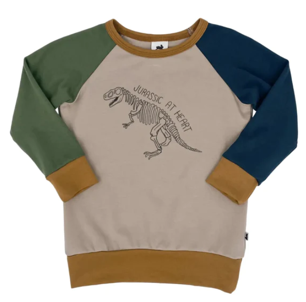Jurassic at Heart Pullover |colour block