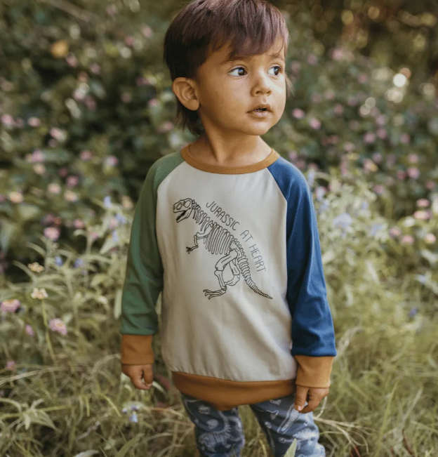 Jurassic at Heart Pullover |colour block