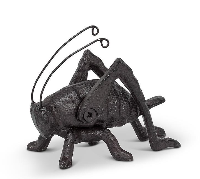 ABBOTT | SMALL CRICKET