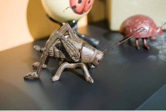 ABBOTT | SMALL CRICKET