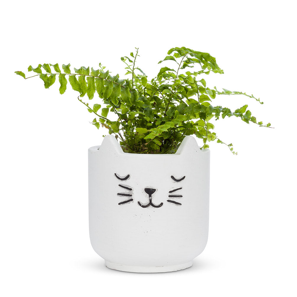 Sleeping Cat Planter