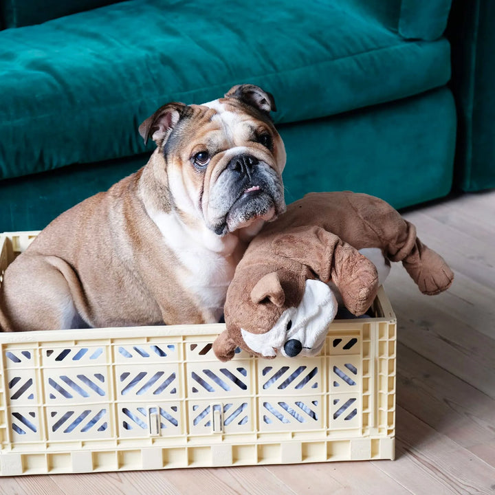 Foldable Crate - Cream