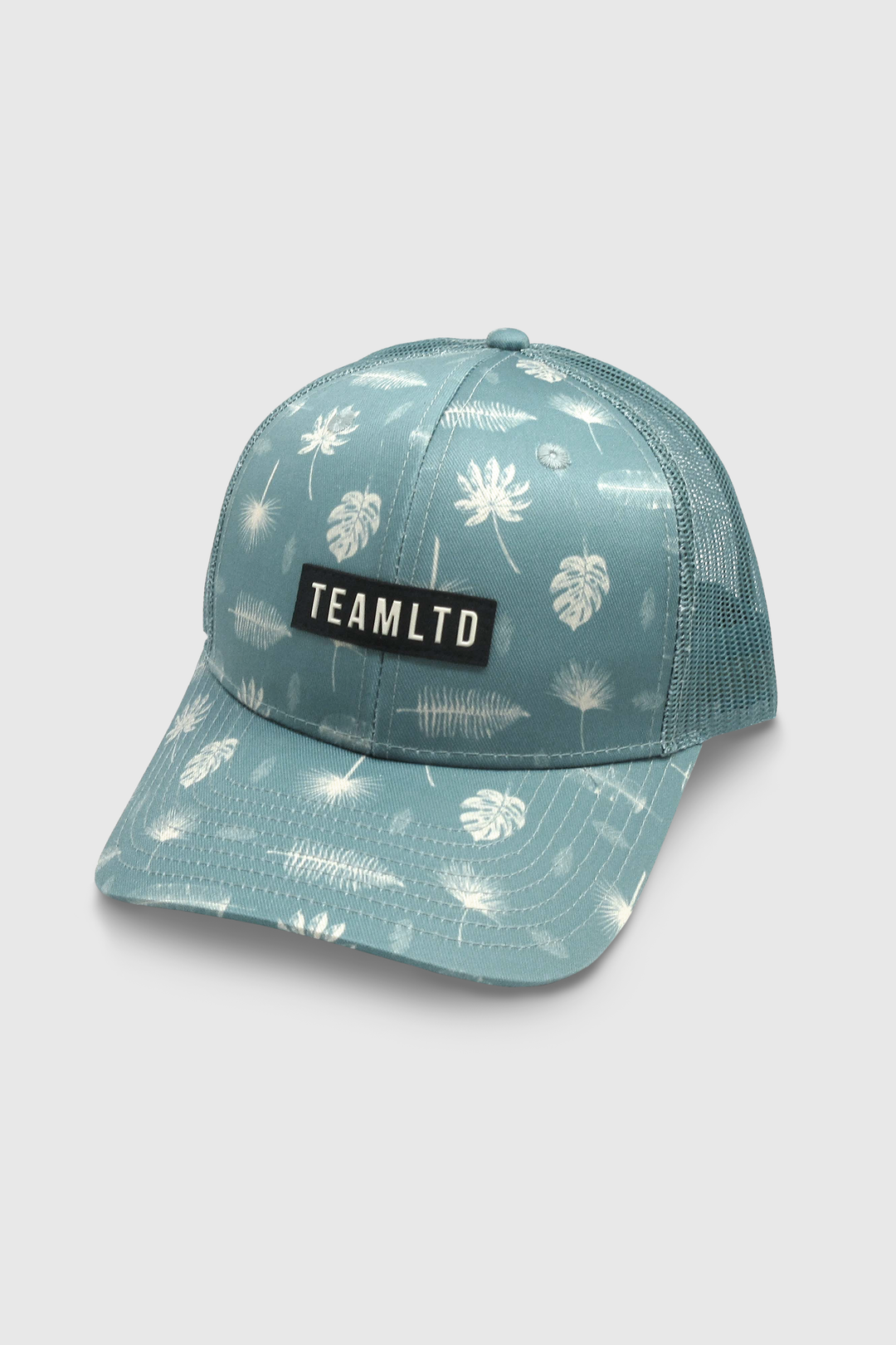 TEAMLTD Block Snapback | Palm