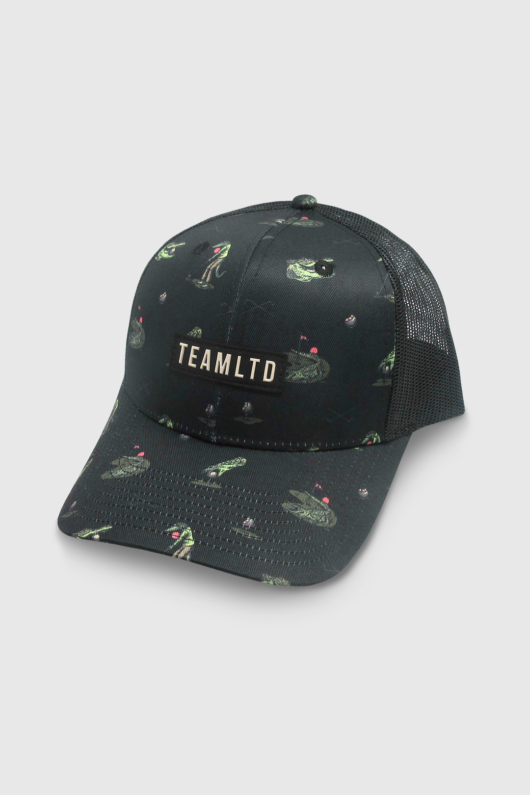 TEAMLTD Block Snapback | Gilmore