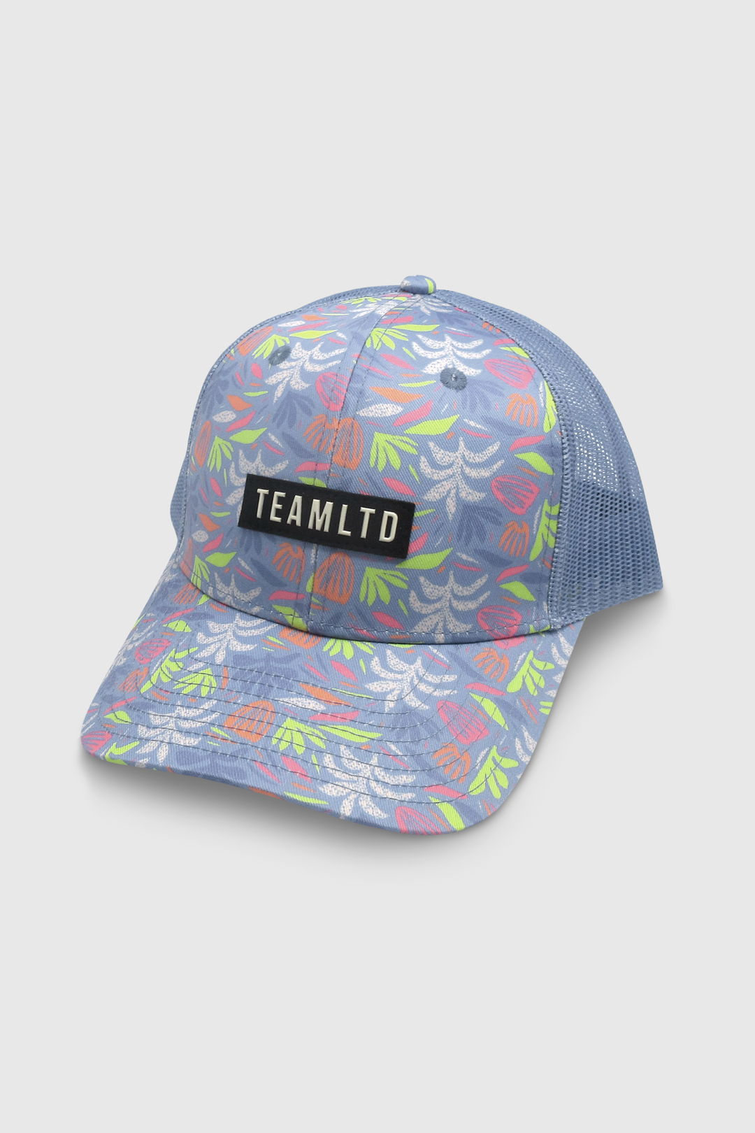 TEAMLTD Block Snapback | Arizona
