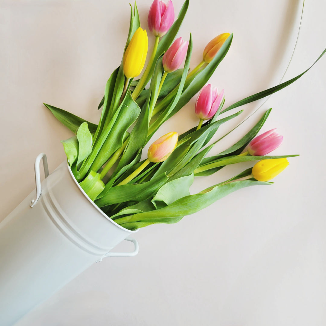 Tall White Bucket with Handles