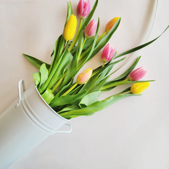 Tall White Bucket with Handles