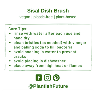 Sisal Dish Brush + Refill
